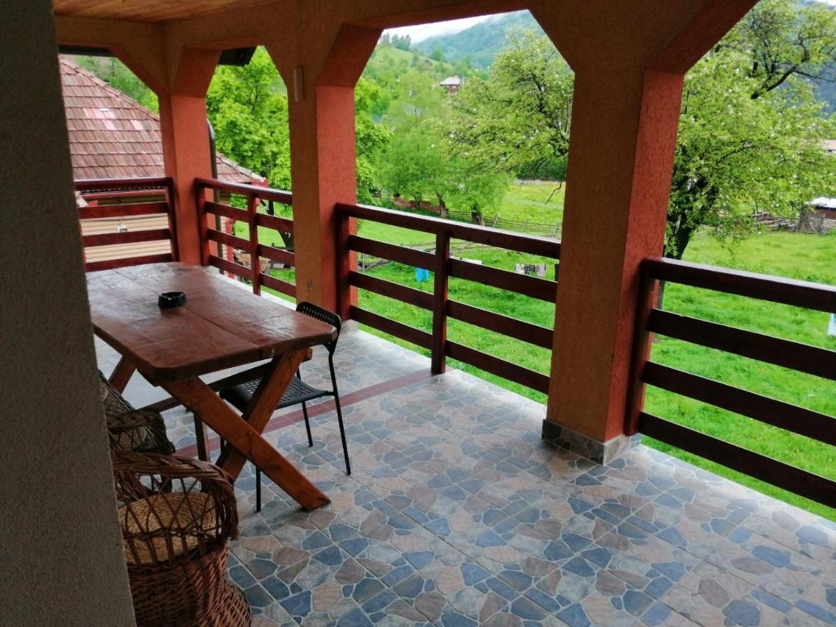 Casa Dorina Villa Bran  Dış mekan fotoğraf
