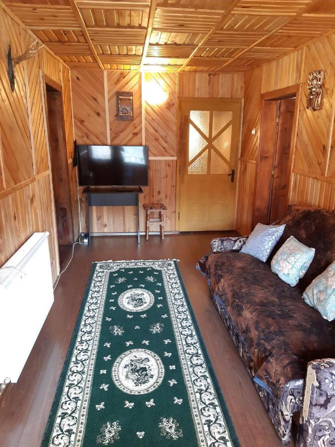 Casa Dorina Villa Bran  Dış mekan fotoğraf