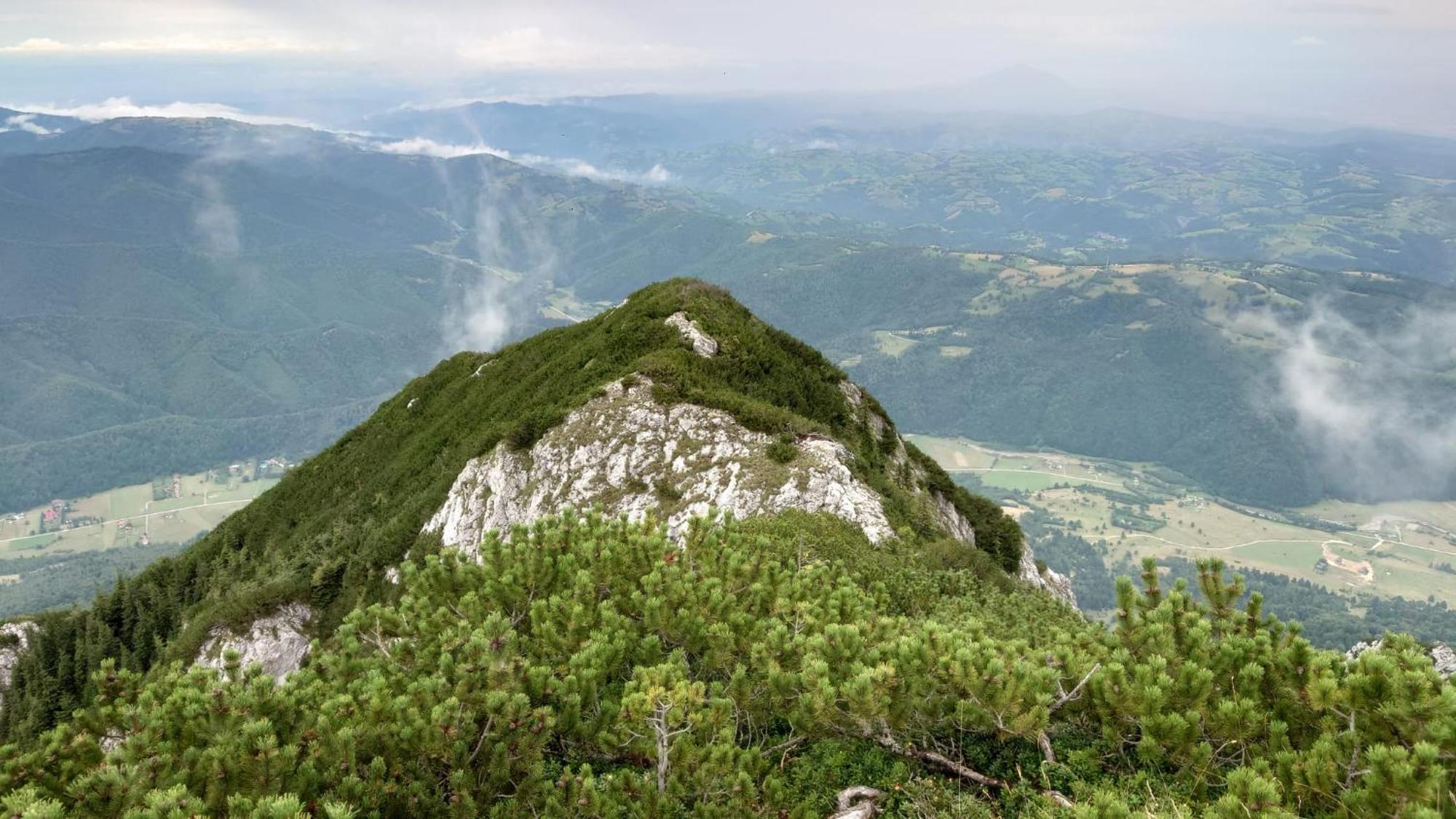 Casa Dorina Villa Bran  Dış mekan fotoğraf