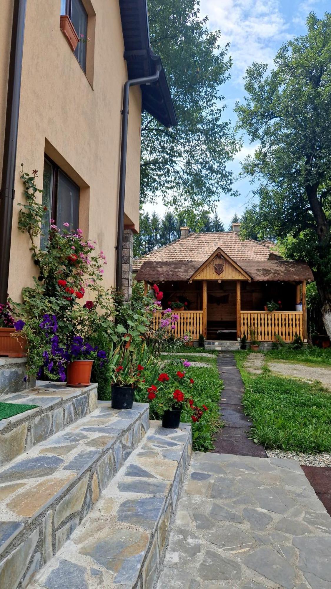 Casa Dorina Villa Bran  Dış mekan fotoğraf