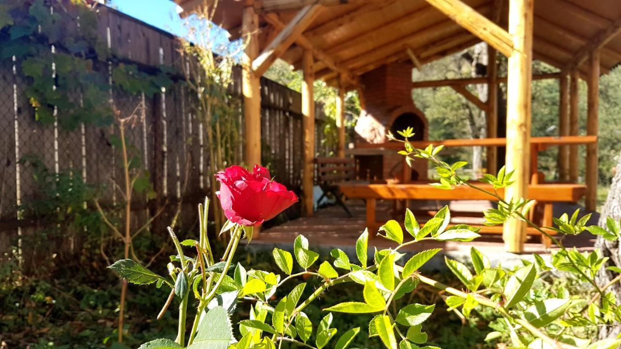 Casa Dorina Villa Bran  Dış mekan fotoğraf